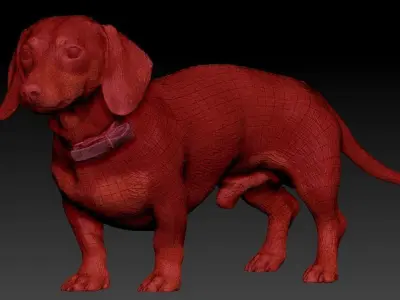 Dachshund dog 11 Low-poly 3D model