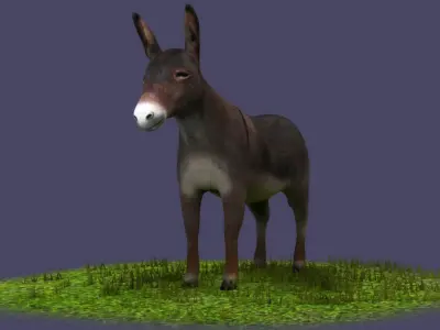 Donkeys ranches livestock breeding mammals 3D model