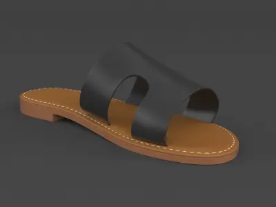 Slide Sandal 3D model