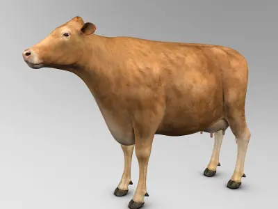 Cow Limousin 3D model