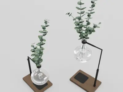 Eucalyptus In Laboratorium Round Jar 3D model