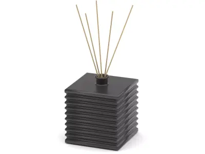 Room fragrance reed diffuser 3D model