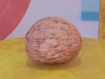 Walnut fruit 03 high-poly 3D model