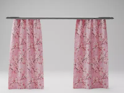 Curtain 3D model