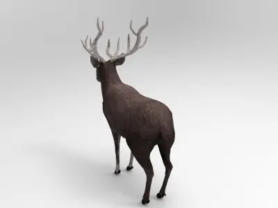 Gray Deer Rigged  Low-poly 3D model