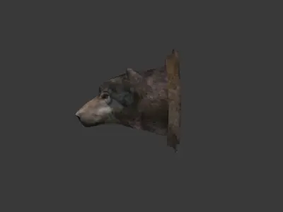 Next Gen AAA Wolf Head Trophy - game model lowpoly Low-poly 3D model