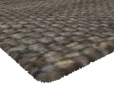 Rug Set 702 3D model