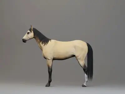 Classic Horse - Western Type Low-poly 3D model