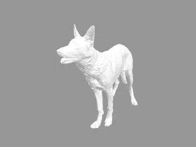 Malinois for 3d printing 3D print model 3D model 3D model