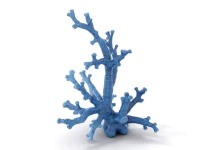 Blue Coral Sculpture model pack Low-poly 3D model
