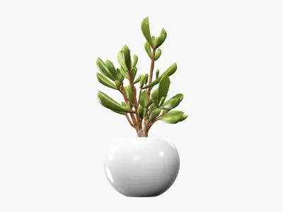 Potted plant decorative 08 3D model
