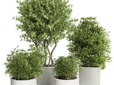 Collection Outdoor plant in concrete pot 15 Low-poly 3D model