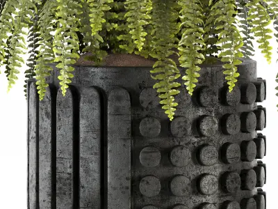 Indoorplant 01 Low-poly 3D model