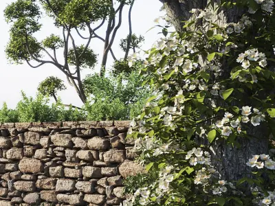 Free landscape - Vray for Sketchup Free 3D model