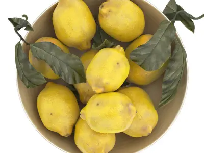 white bowl of lemons 3D model
