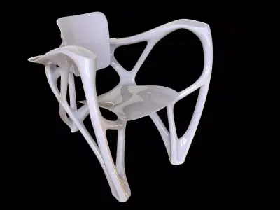 Bone Armchair 3D model