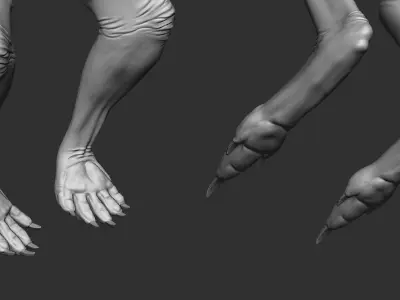 Kangaroo male 3D model