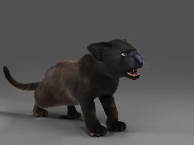 Fur Baby Black Panther Rigged in Blender Low-poly 3D model