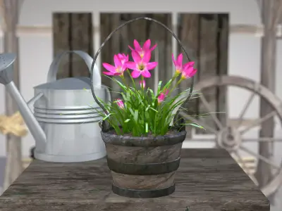 Flower - Pink Nature 3D Model 3D model