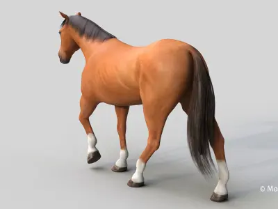 Horse PRO - Brown 3D model