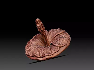 Mallow Flower Spinning Top Toy or Decor 3D print model