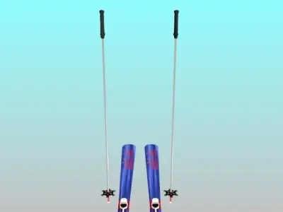 Ski and Ski Pole 3D model