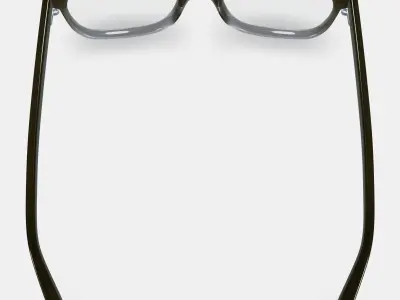 Hector Eyeglasses in Driftwood Fade 3D model