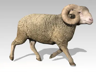 Ram Animated Low-poly 3D model