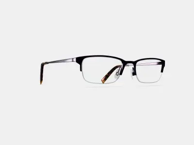 Caldwell Eyeglasses in Carbon 3D model
