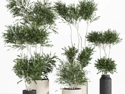 Collaction Indoor plant vol 44 3D model