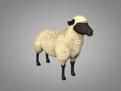 Sheep or Ram Low-poly 3D model