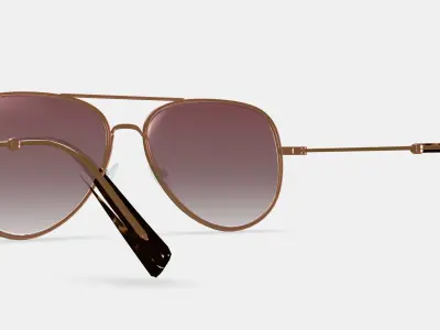 Raider Sunglasses in Rose Gold 3D model