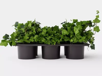 Hedera helix Low-poly 3D model