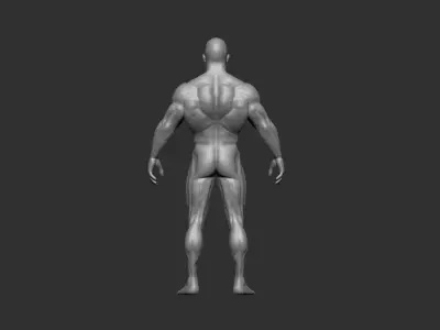 bodybuilder 3D print model male body 3D print model