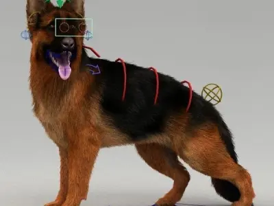 Rigged Dog 3D model