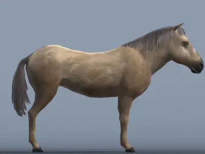 Lowpoly Brown Horse  Animated for VR AR Games  Low-poly 3D model