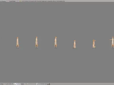 Meerkats meerkat Low-poly 3D model