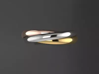 Ring Tri Color Small Model 3D print model