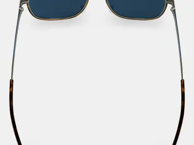 Aiko Sunglasses in Oak Barrel with Riesling 3D model