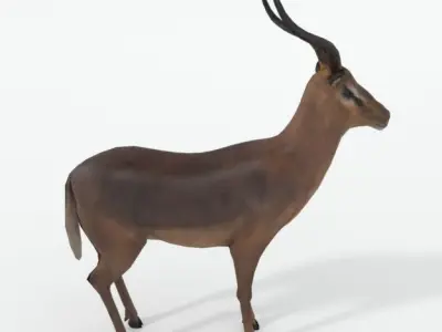 Impala antelope Low-poly 3D model