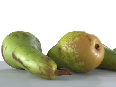 4 Pears - Photogrammetry Scan 3D model