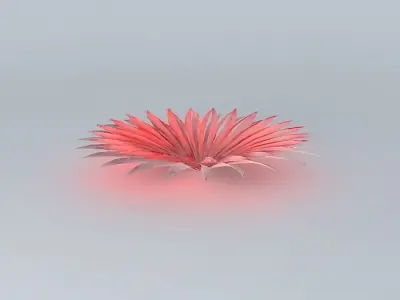 pettle play Free 3D model