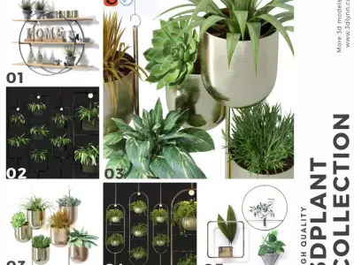 Top Hanging Plant Pots Collection 3D model