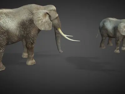 African Elephant Animated 3D model Low-poly 3D model purchase