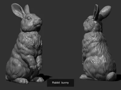 Rabbit and hare collection