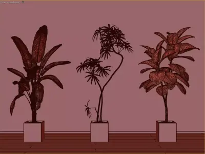 Modern Potted Green Plant Collection 3D Model 3D model