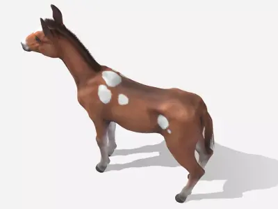 Horse - Foal Low-poly 3D model