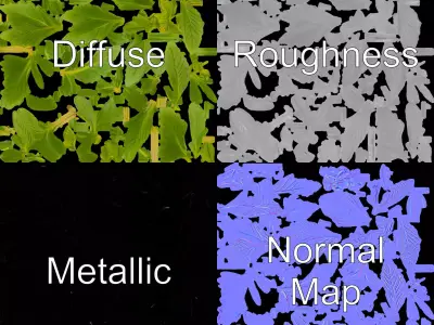 Green Herbaceous Plant model pack Low-poly 3D model