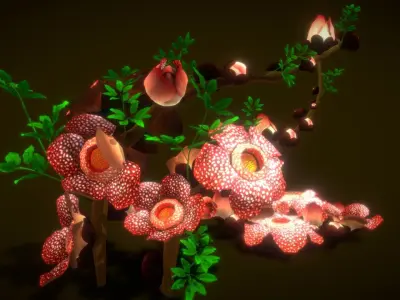 Flower Rafflesia arnoldii  Low-poly 3D model