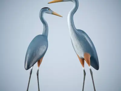 Handpainted Heron Sculpture Low-poly 3D model
